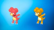 Regular and shiny Magby (Image via TPC)
